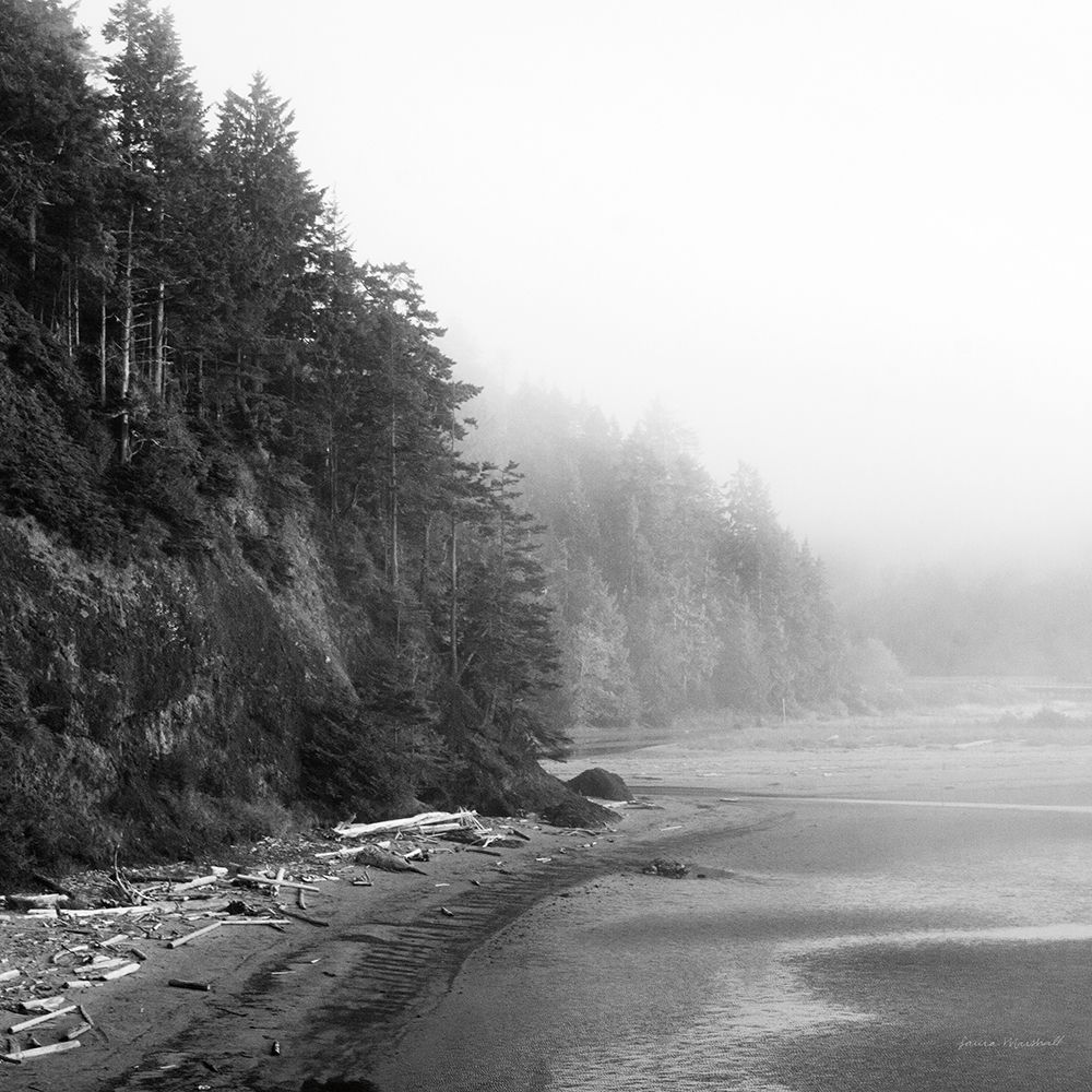 Salt Creek III art print by Laura Marshall for $57.95 CAD