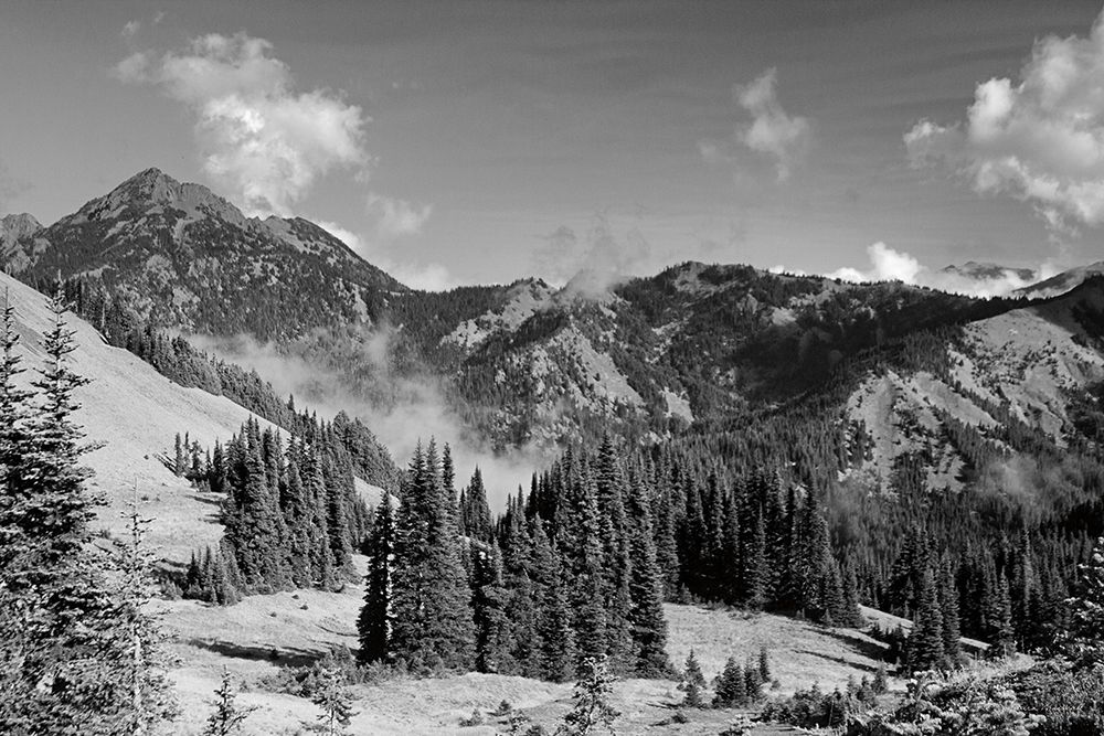 Olympic Mountains I art print by Laura Marshall for $57.95 CAD