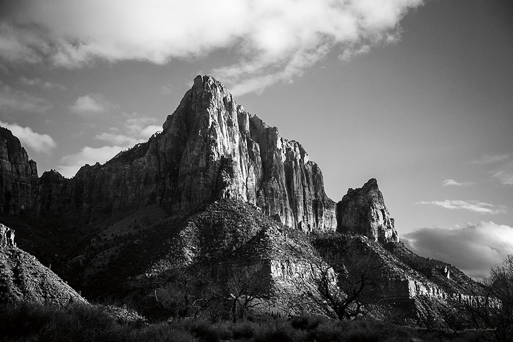 The Watchman I art print by Laura Marshall for $57.95 CAD