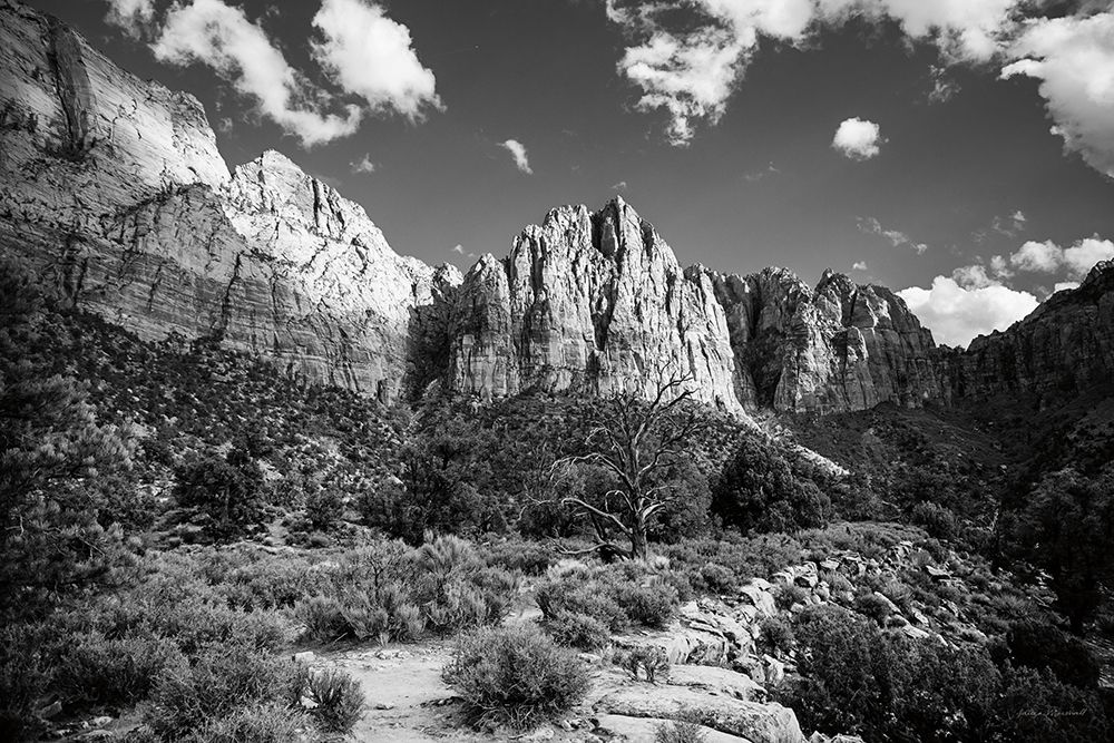 The Watchman II art print by Laura Marshall for $57.95 CAD