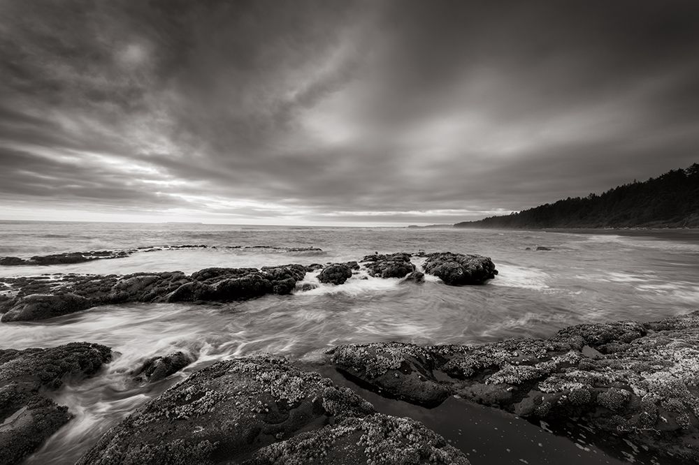 Kalaloch Beach art print by Alan Majchrowicz for $57.95 CAD