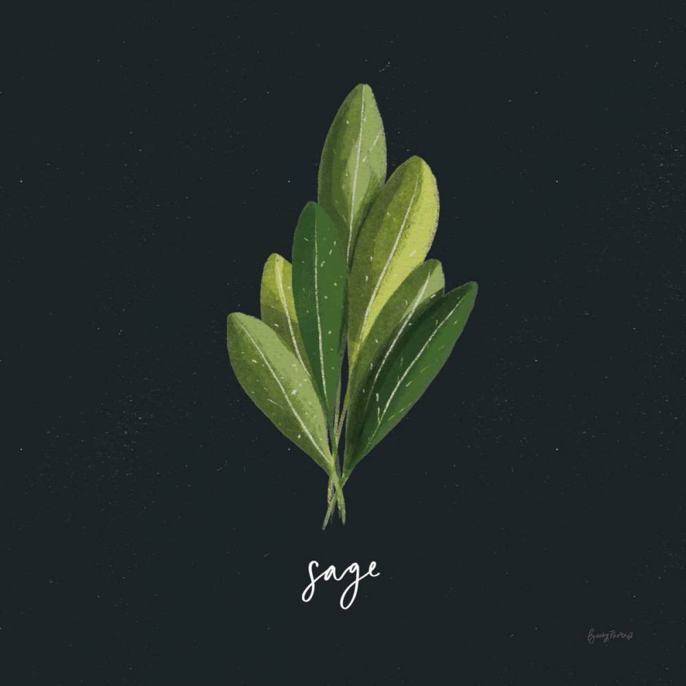 Herbs II Black art print by Becky Thorns for $57.95 CAD