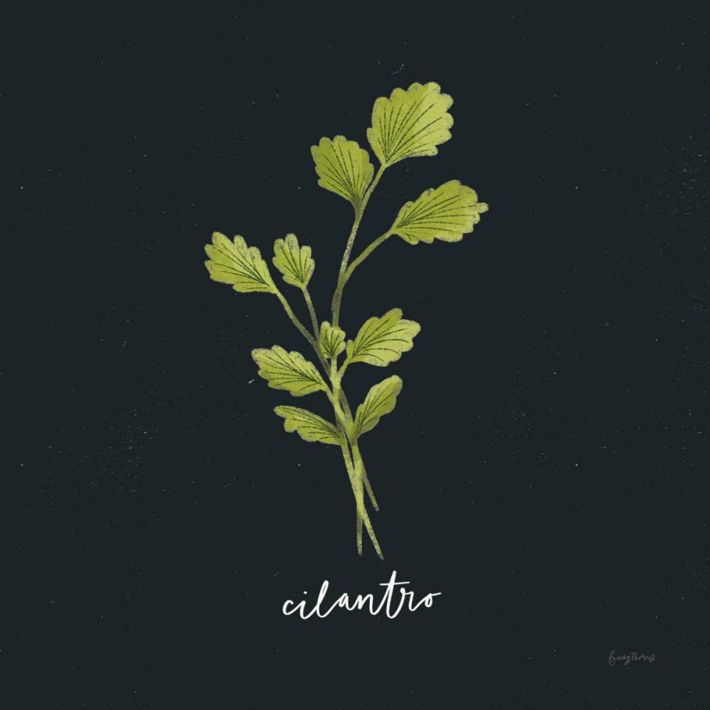 Herbs IV Black art print by Becky Thorns for $57.95 CAD