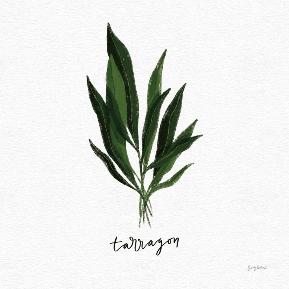 Herbs V White art print by Becky Thorns for $57.95 CAD