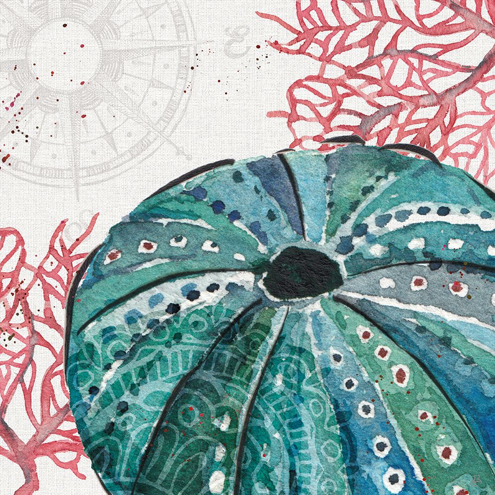 Ocean Finds XIII art print by Daphne Brissonnet for $57.95 CAD