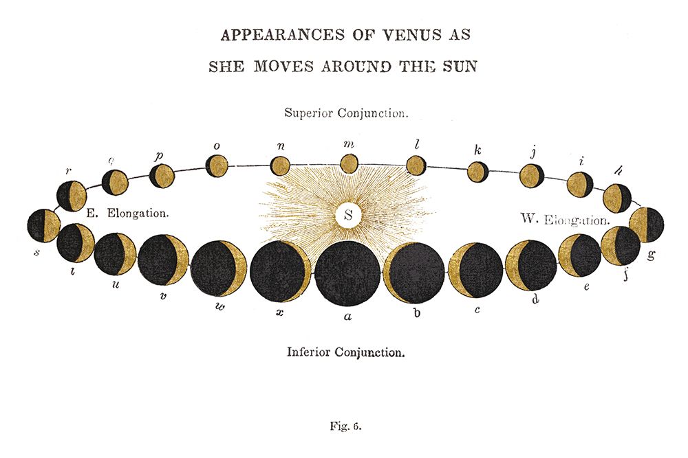 Solar Venus Chart Gold art print by Wild Apple Portfolio for $57.95 CAD