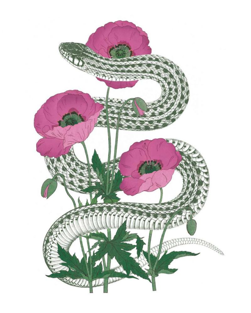 Natural Beauty II Pink Flower art print by Wild Apple Portfolio for $57.95 CAD