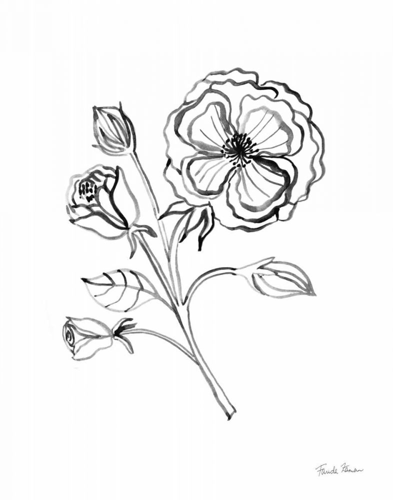 Joyful Peonies III art print by Farida Zaman for $57.95 CAD