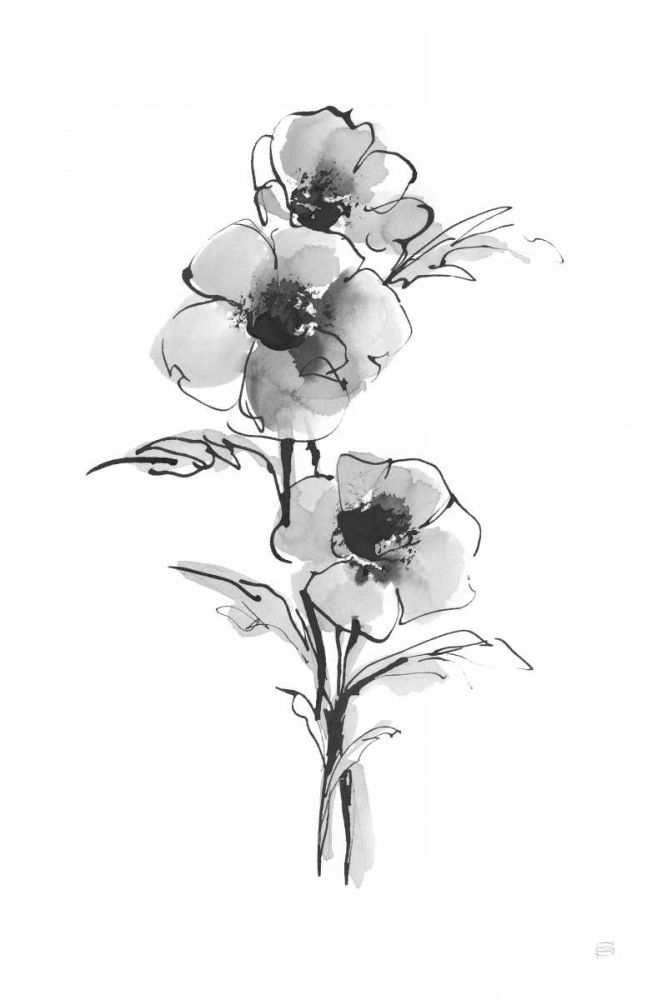 Wash Anemone II art print by Chris Paschke for $57.95 CAD