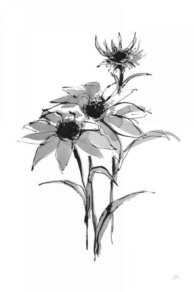 Wash Echinacea I art print by Chris Paschke for $57.95 CAD