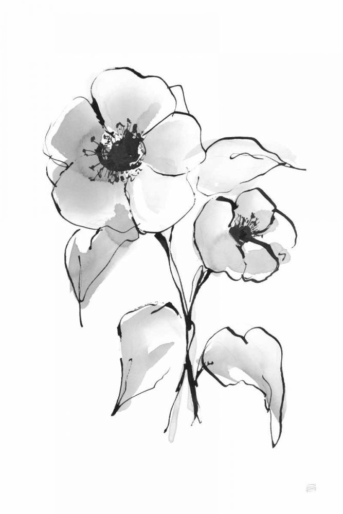 Wash Poppy I art print by Chris Paschke for $57.95 CAD