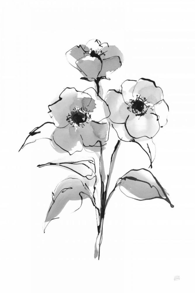 Wash Poppy II art print by Chris Paschke for $57.95 CAD