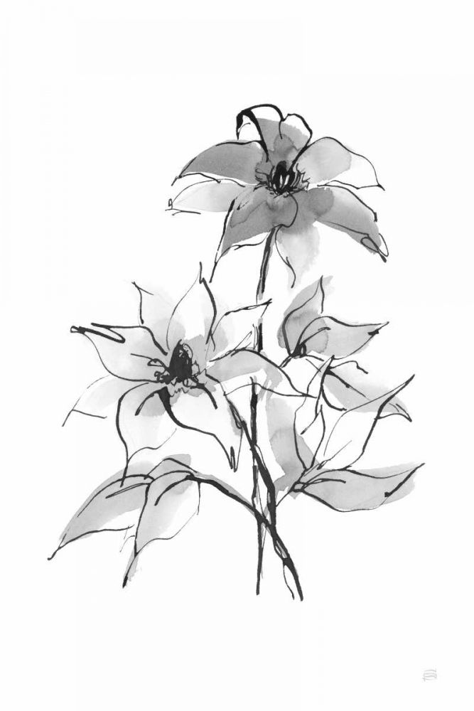 Wash Clematis art print by Chris Paschke for $57.95 CAD