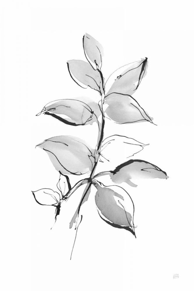 Wash Leaf I art print by Chris Paschke for $57.95 CAD