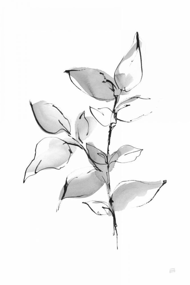 Wash Leaf II art print by Chris Paschke for $57.95 CAD