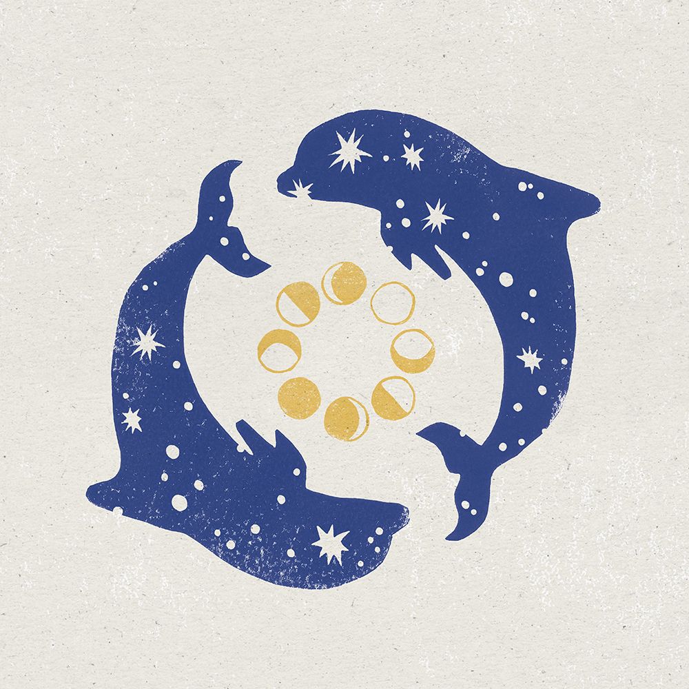 Star Dolphins art print by Moira Hershey for $57.95 CAD