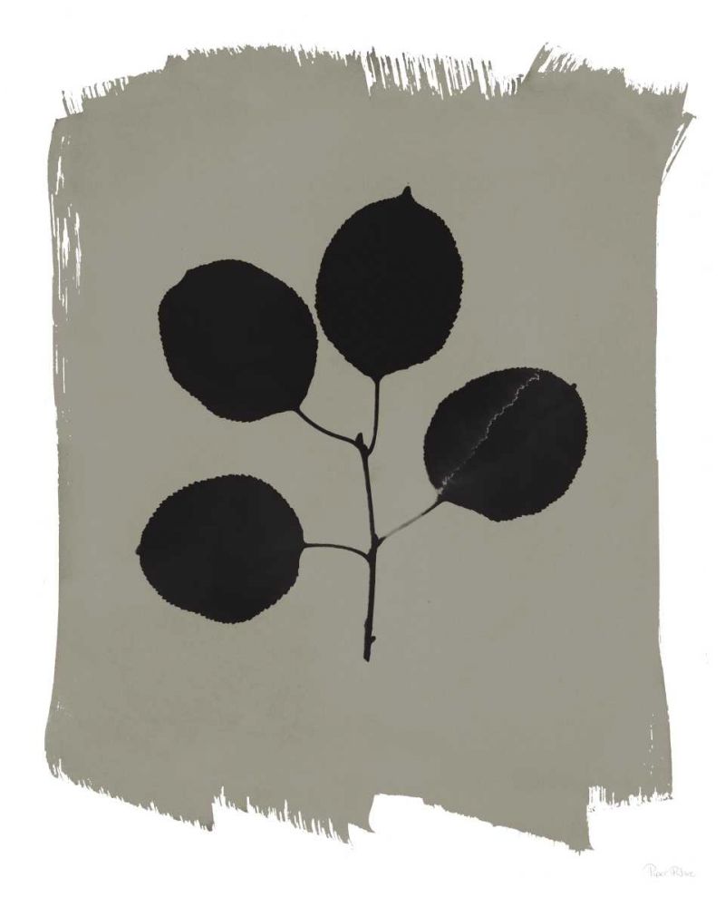 Nature by the Lake Leaves II Gray art print by Piper Rhue for $57.95 CAD