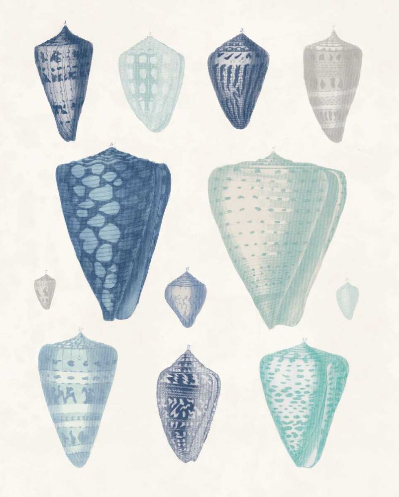 Blue Shell Assortment II art print by Wild Apple Portfolio for $57.95 CAD