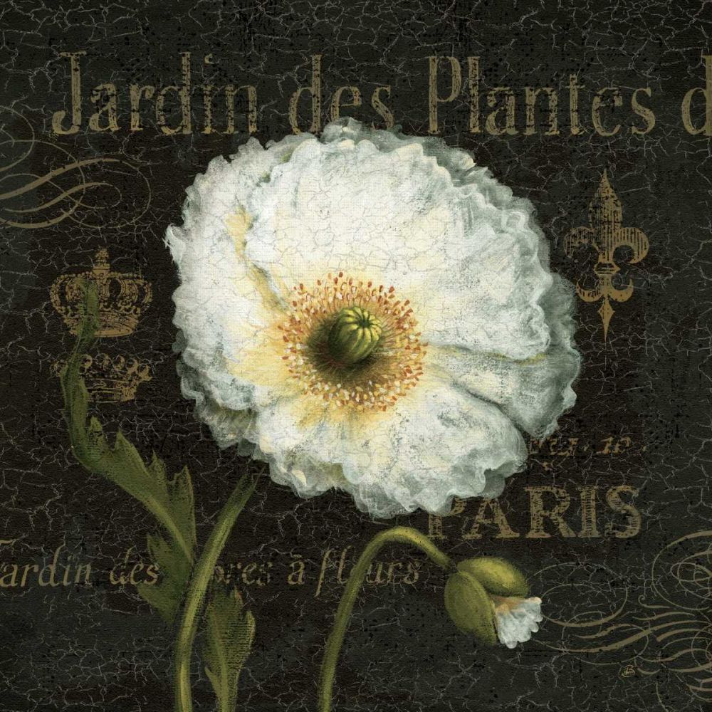 Botanical Garden I art print by Daphne Brissonnet for $57.95 CAD