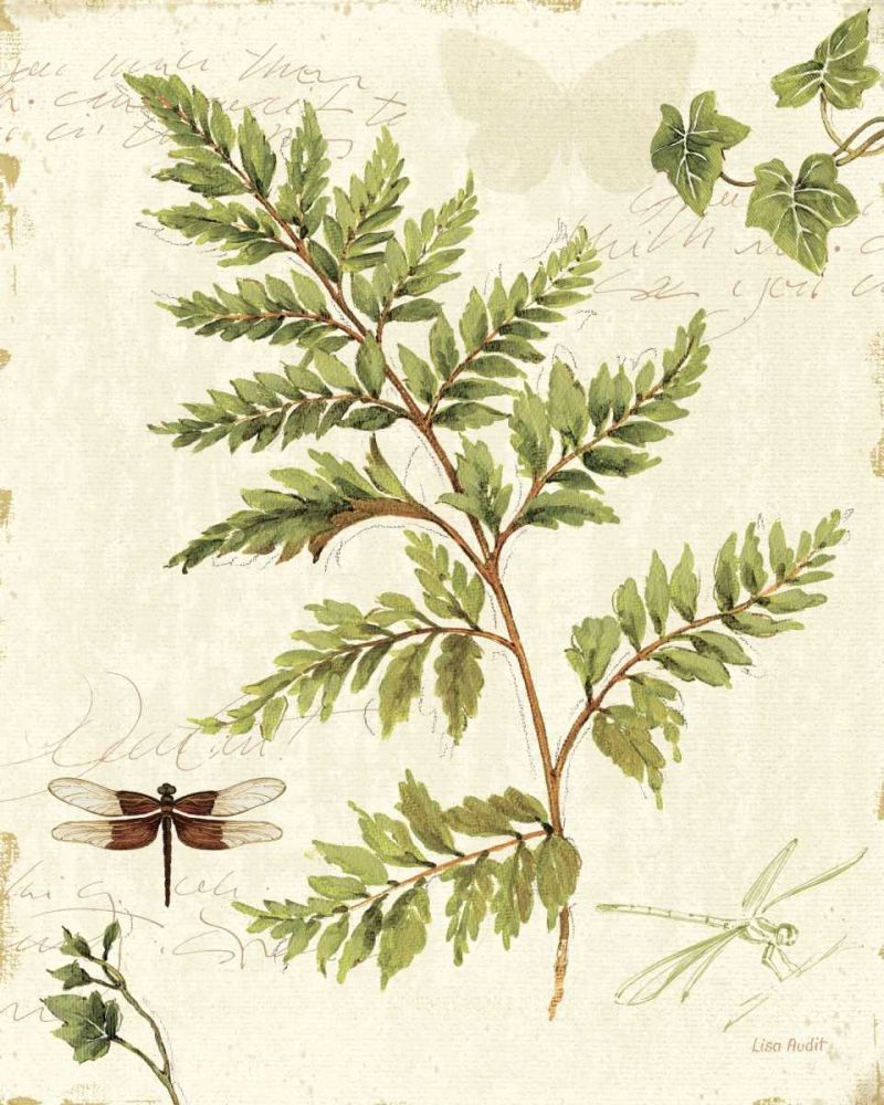 Ivies and Ferns I art print by Lisa Audit for $57.95 CAD