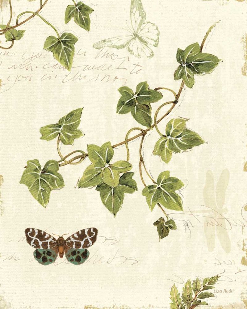 Ivies and Ferns II art print by Lisa Audit for $57.95 CAD