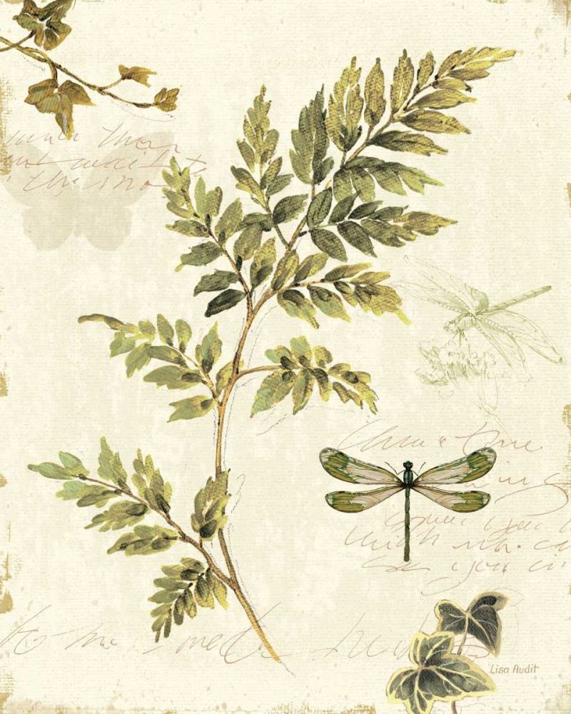 Ivies and Ferns III art print by Lisa Audit for $57.95 CAD