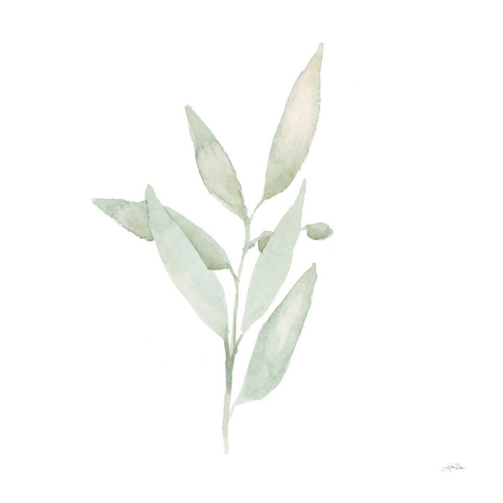 Sage II art print by Katrina Pete for $57.95 CAD