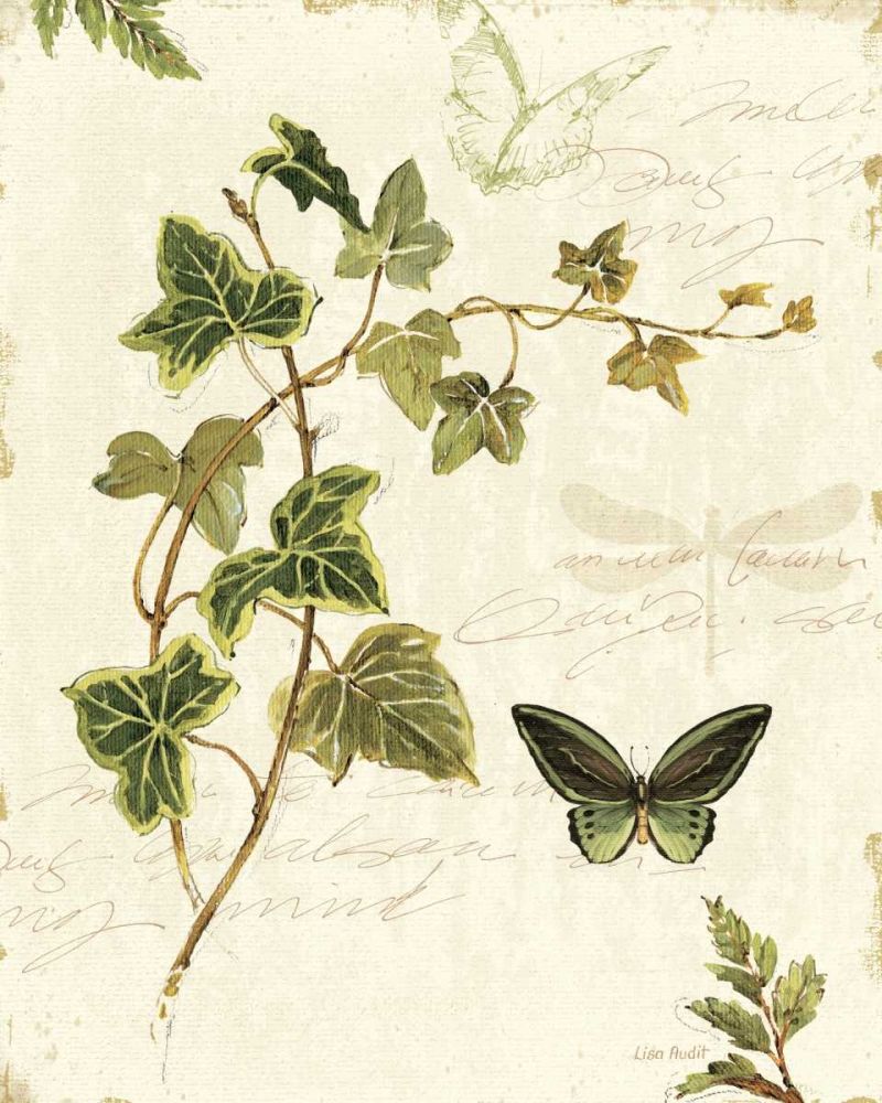 Ivies and Ferns IV art print by Lisa Audit for $57.95 CAD