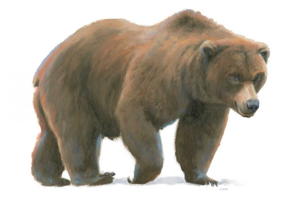Northern Wild  I art print by James Wiens for $57.95 CAD