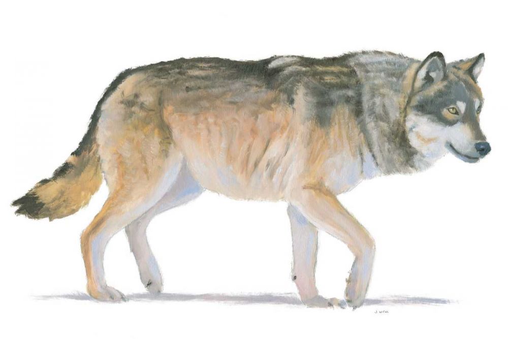 Northern Wild II art print by James Wiens for $57.95 CAD