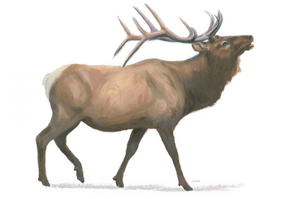 Northern Wild III art print by James Wiens for $57.95 CAD