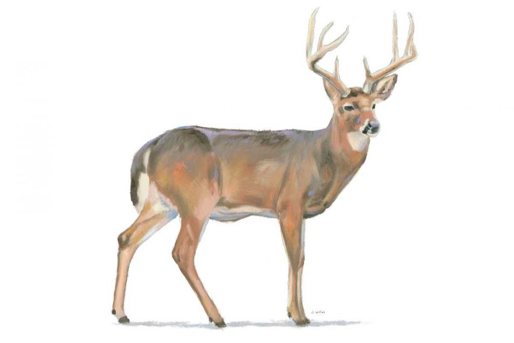 Northern Wild V art print by James Wiens for $57.95 CAD