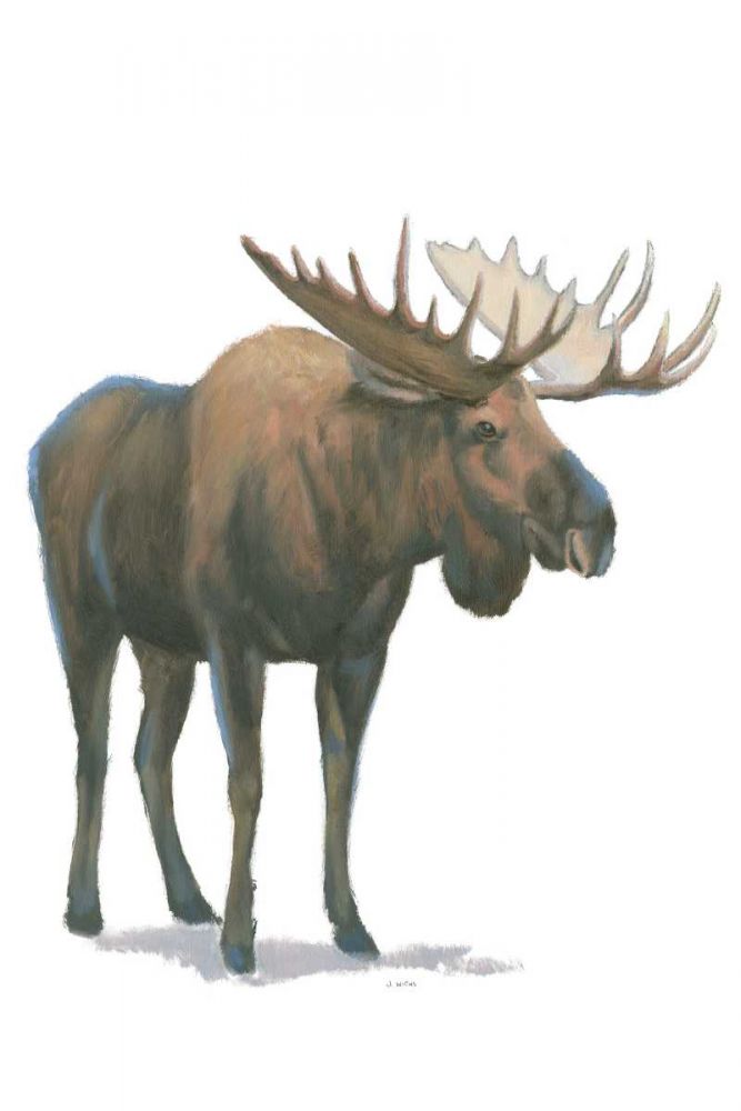 Northern Wild VI art print by James Wiens for $57.95 CAD