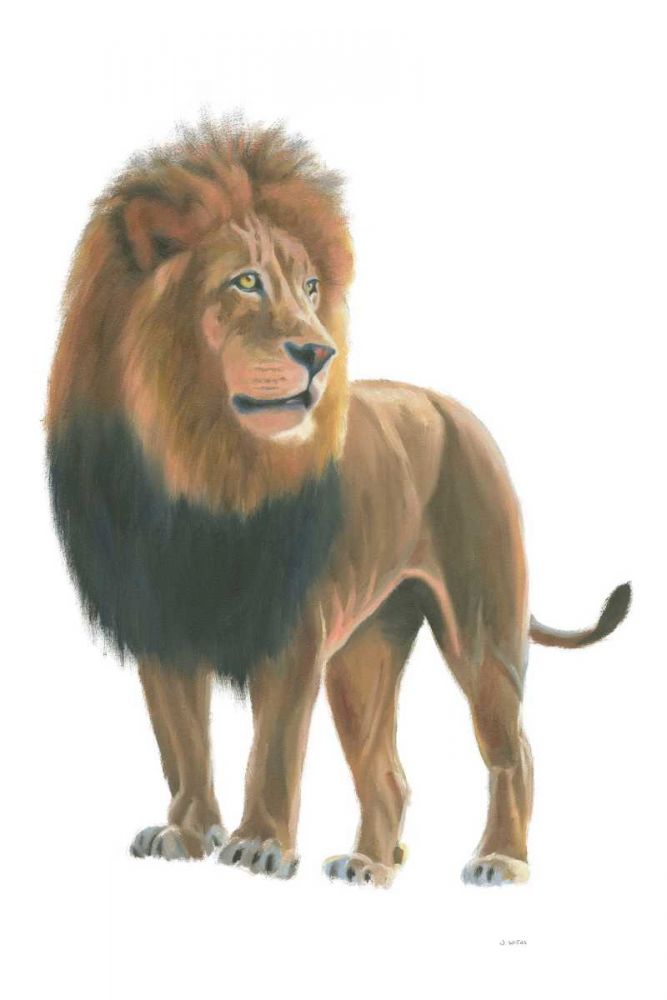 Wild and Free I art print by James Wiens for $57.95 CAD