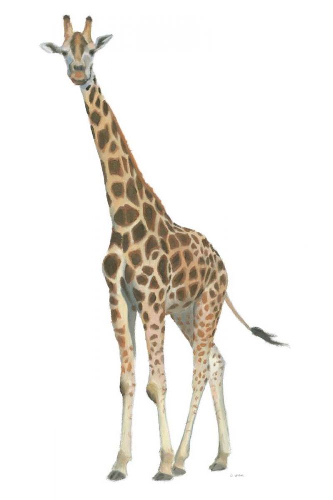 Wild and Free V art print by James Wiens for $57.95 CAD