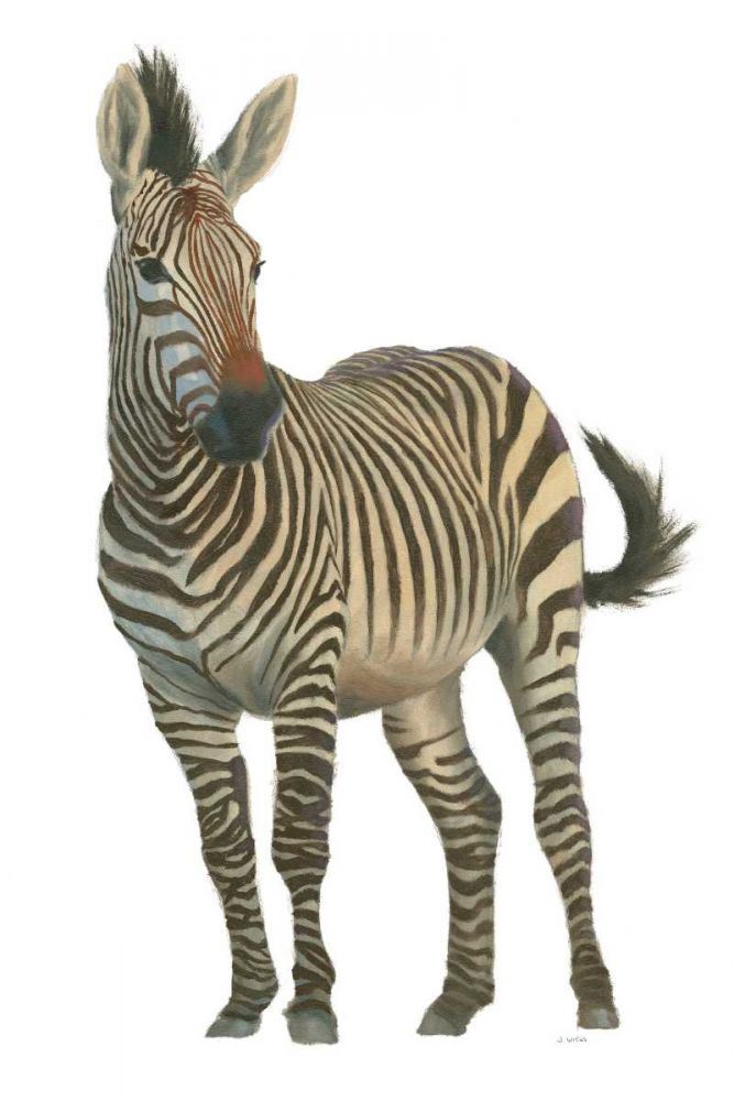 Wild and Free VI art print by James Wiens for $57.95 CAD