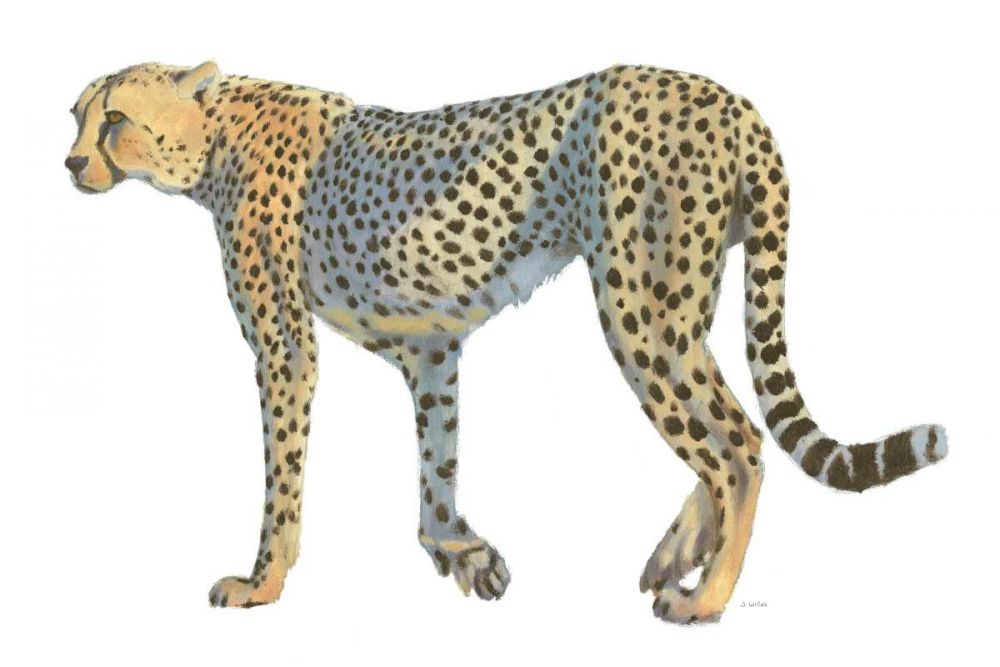 Wild and Free VII art print by James Wiens for $57.95 CAD