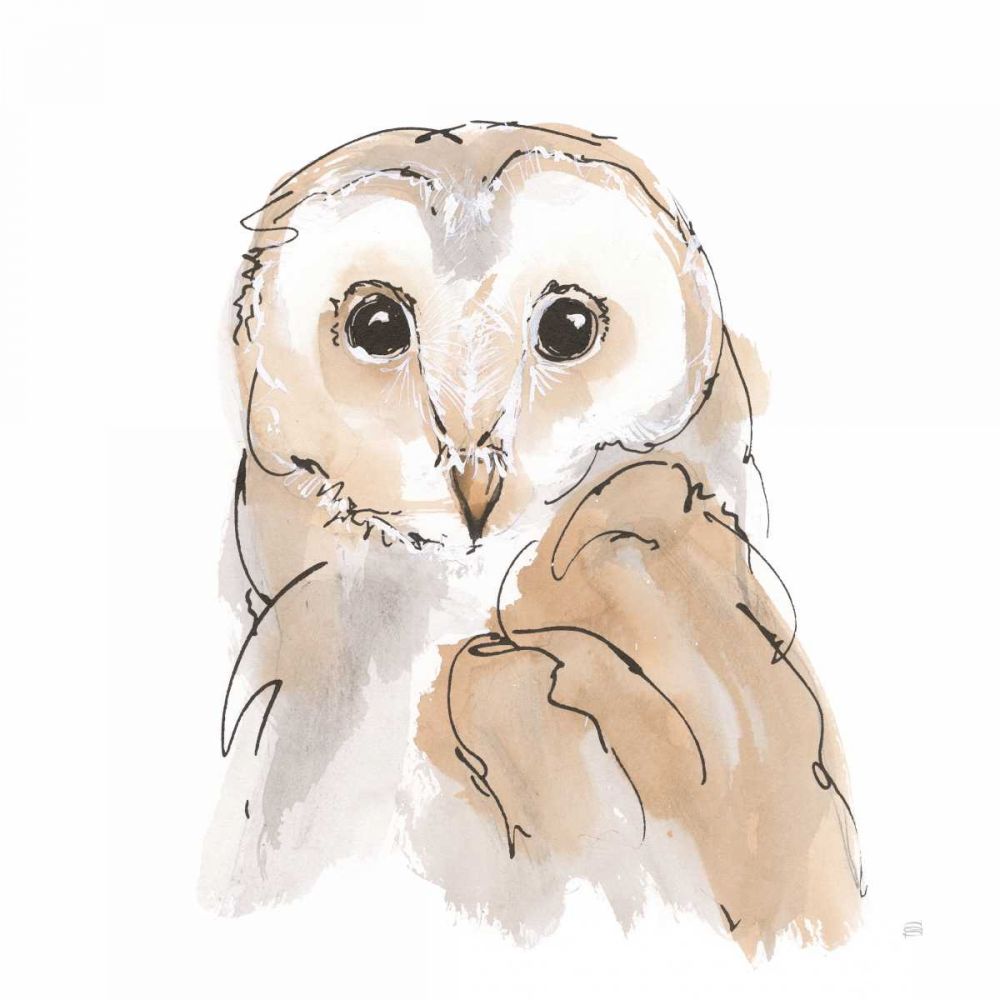 Barn Owl II art print by Chris Paschke for $57.95 CAD