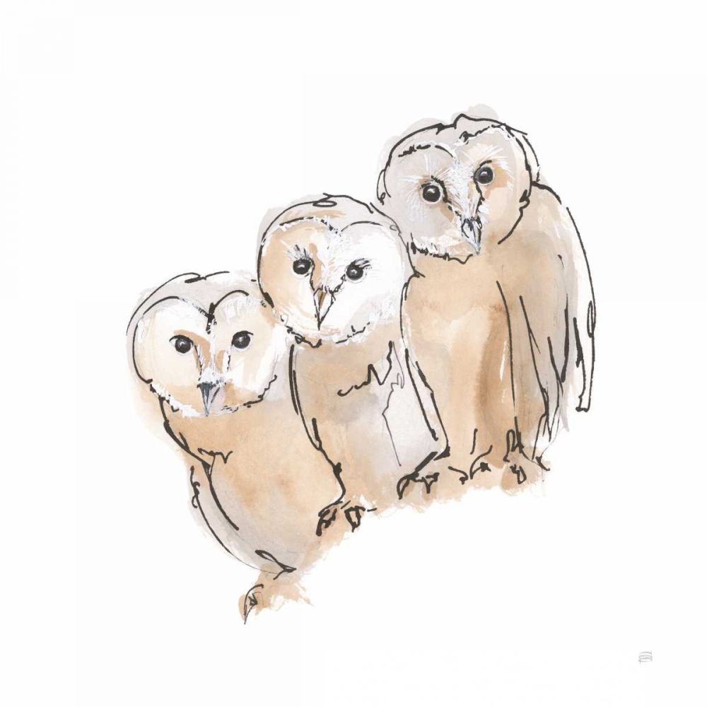 Barn Owl III art print by Chris Paschke for $57.95 CAD