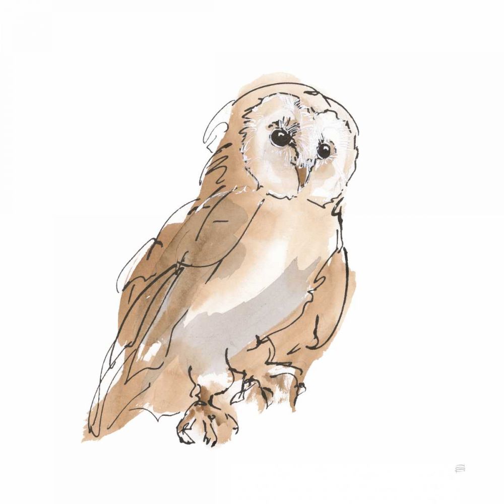 Barn Owl IV art print by Chris Paschke for $57.95 CAD