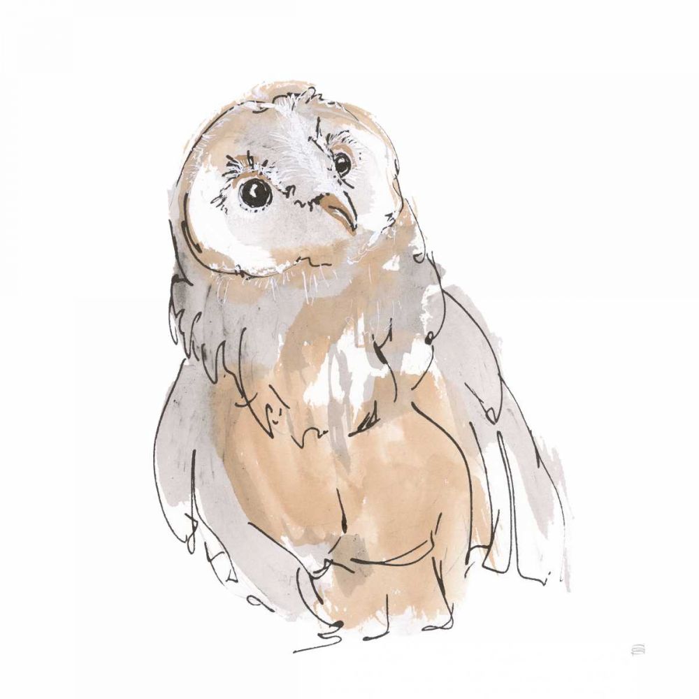 Barn Owl V art print by Chris Paschke for $57.95 CAD
