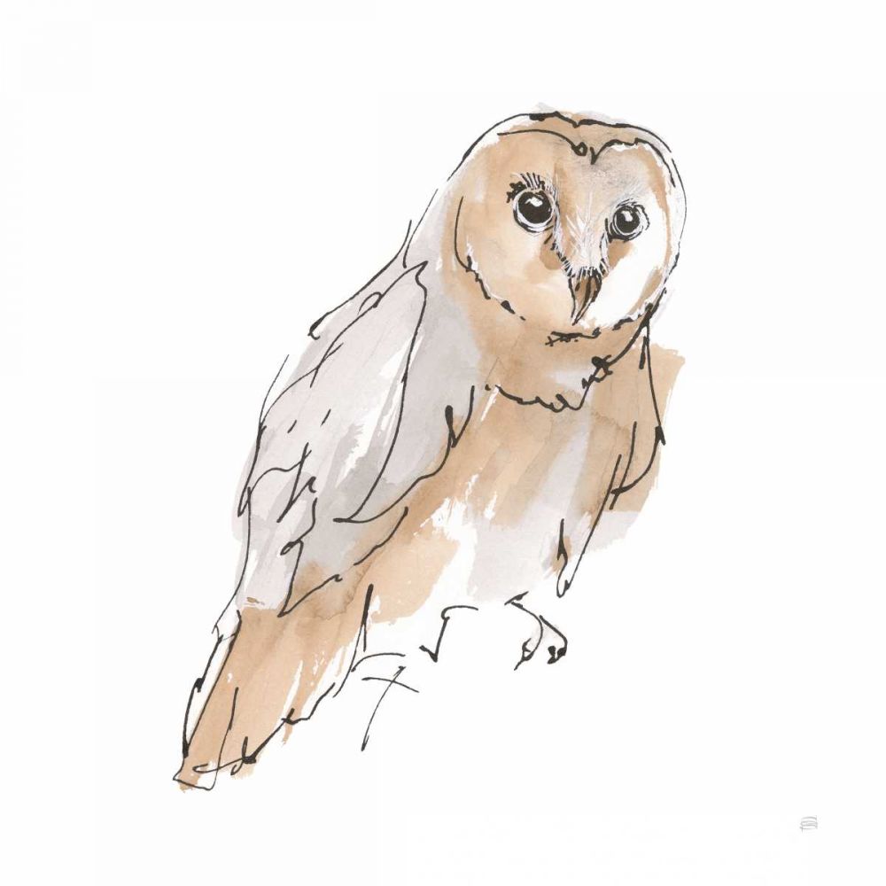 Barn Owl VI art print by Chris Paschke for $57.95 CAD