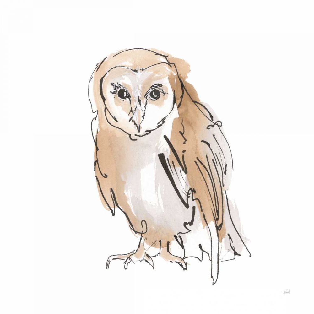 Barn Owl VII art print by Chris Paschke for $57.95 CAD