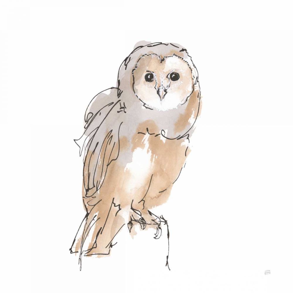 Barn Owl VIII art print by Chris Paschke for $57.95 CAD