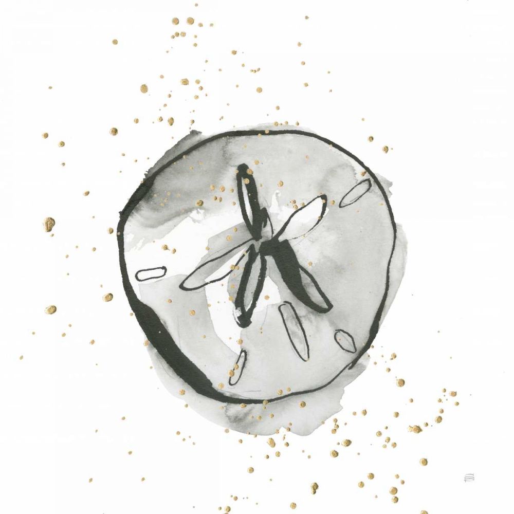 Sand Dollar II art print by Chris Paschke for $57.95 CAD