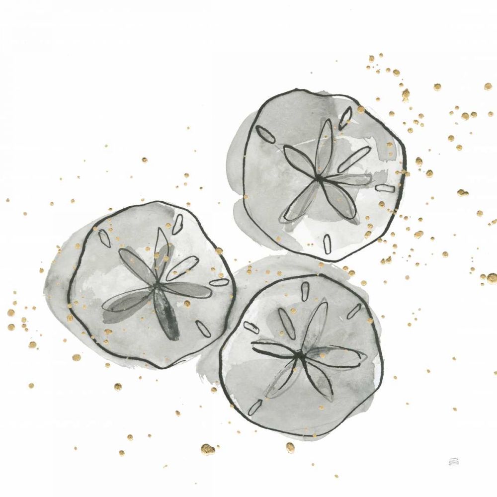 Sand Dollar III art print by Chris Paschke for $57.95 CAD