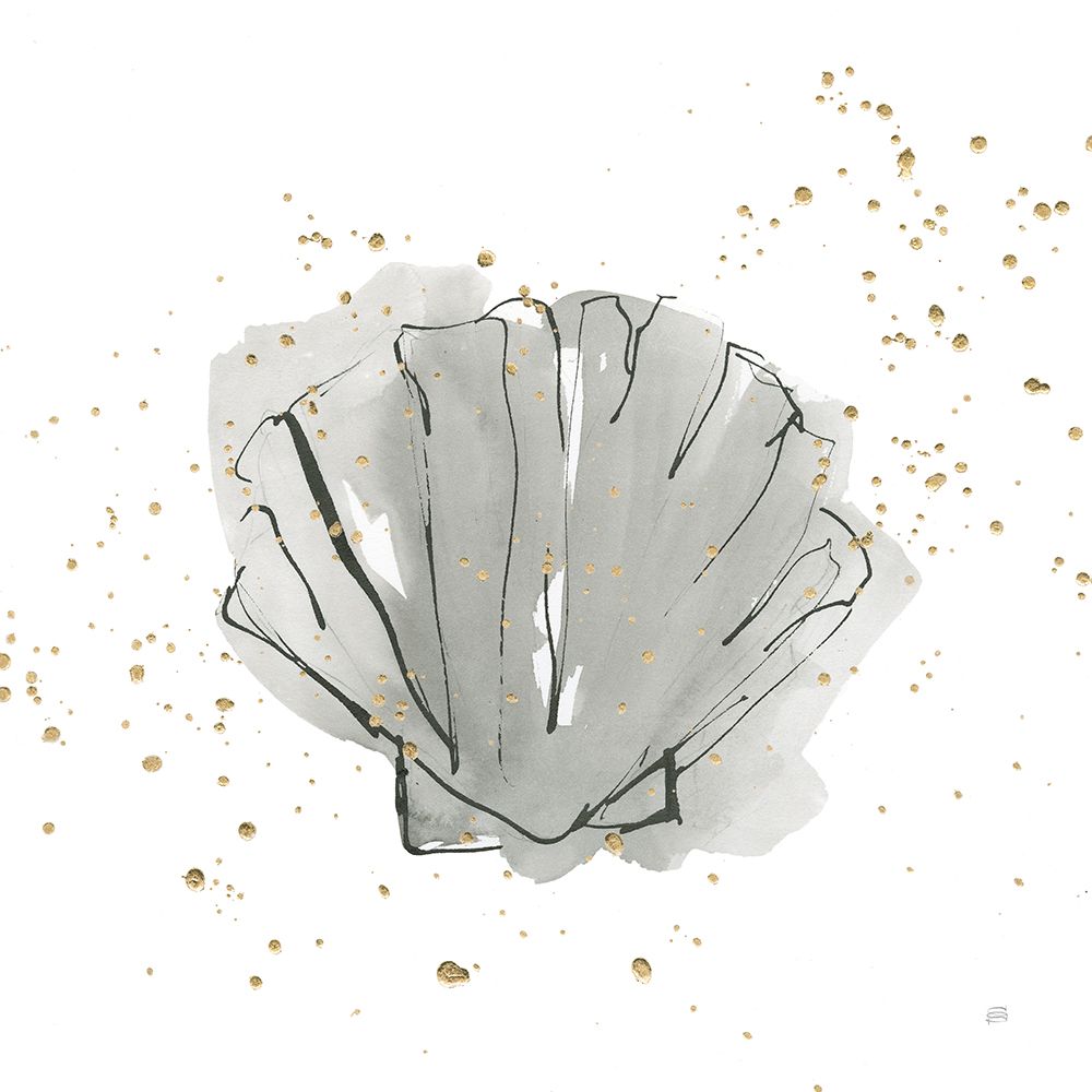 Sea Scallop art print by Chris Paschke for $57.95 CAD