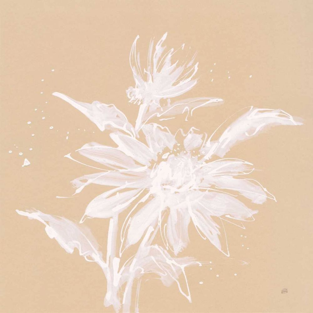 Echinacea II art print by Chris Paschke for $57.95 CAD