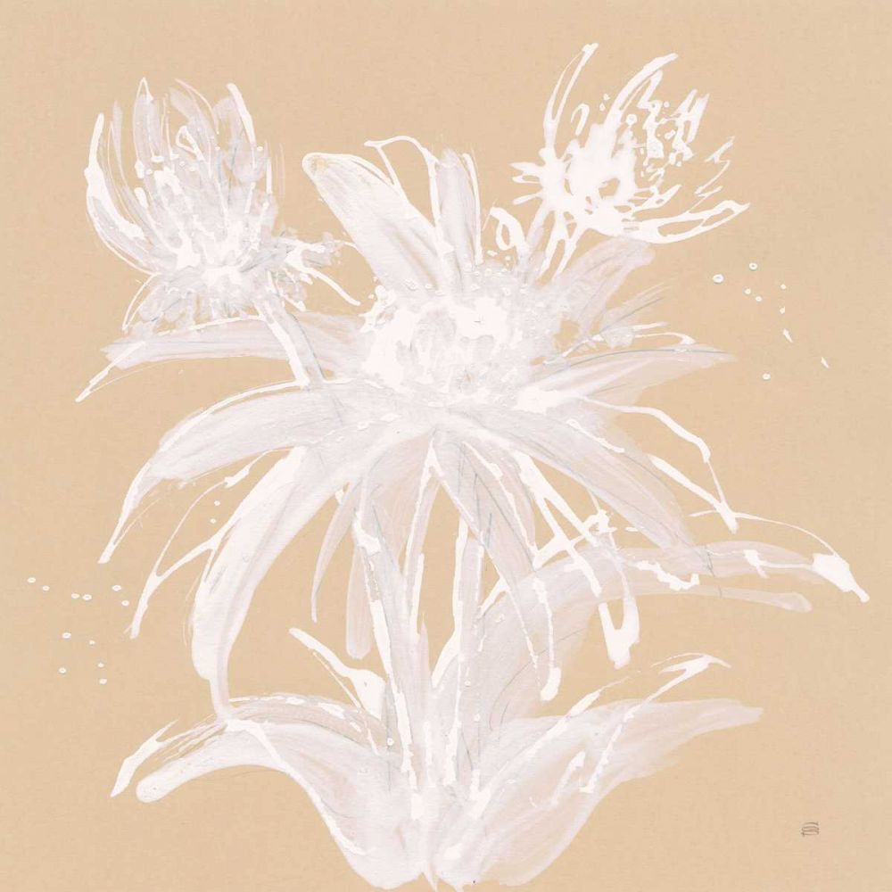 Echinacea III art print by Chris Paschke for $57.95 CAD