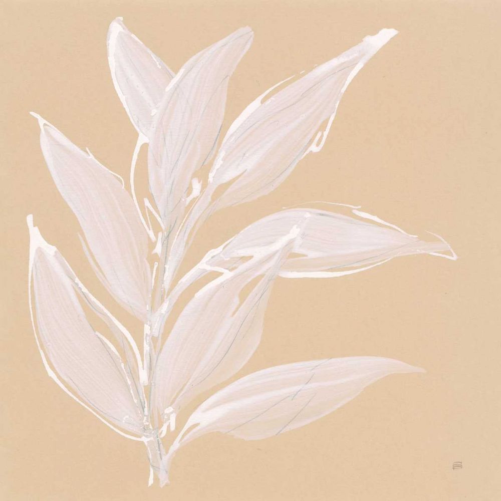 Leaf Study II art print by Chris Paschke for $57.95 CAD